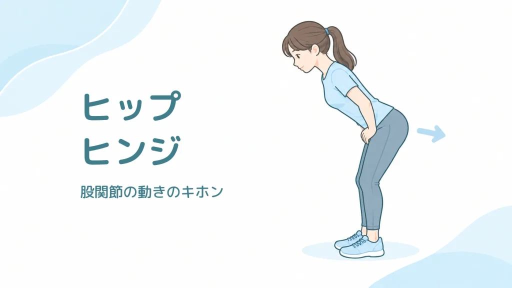 ヒップヒンジのイラスト。両足を床につけ、膝を軽く曲げ、お尻を後ろに引いて股関節から上体を倒す大人
